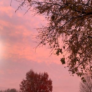 Meet your Posher, Stormie